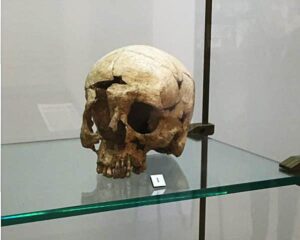 Cranio di Carìa